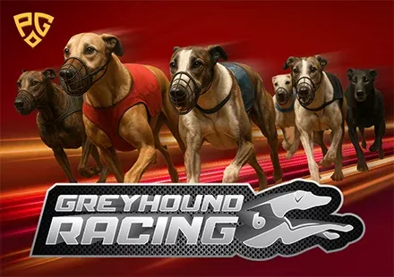 Greyhound Racing